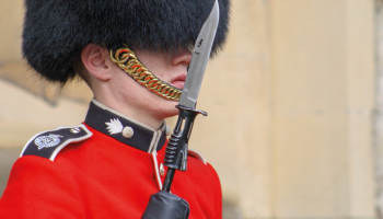 Beefeater on duty